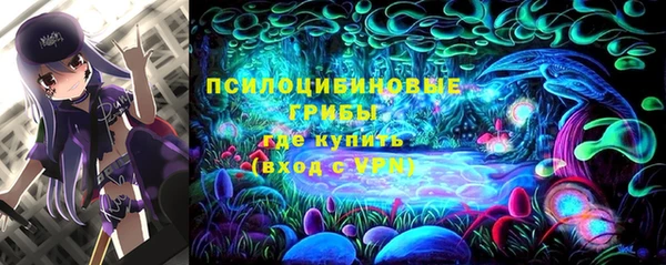 круглые Переславль-Залесский