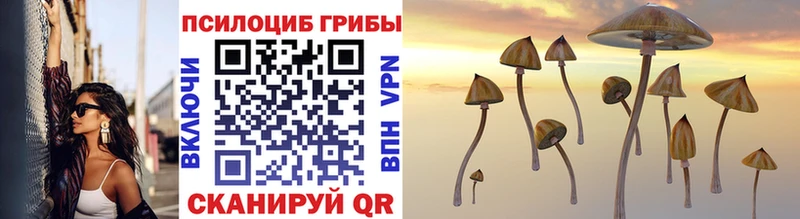 закладки  Солигалич  это какой сайт  Псилоцибиновые грибы MAGIC MUSHROOMS 